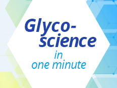 Glycoscience in one minute