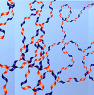 Part 4<br>Extracellular<br>matrix 1