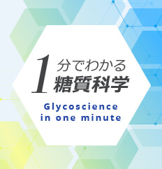 1分でわかる糖質科学