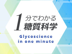 1分でわかる糖質科学